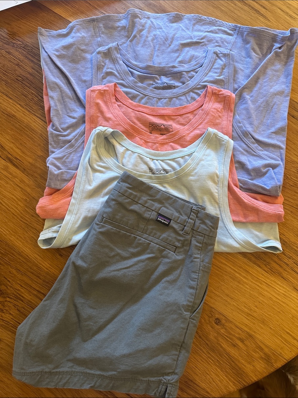 Patagonia Gray Shorts, Lavender, Coral, Blue Daily Cool Tank Tops medium